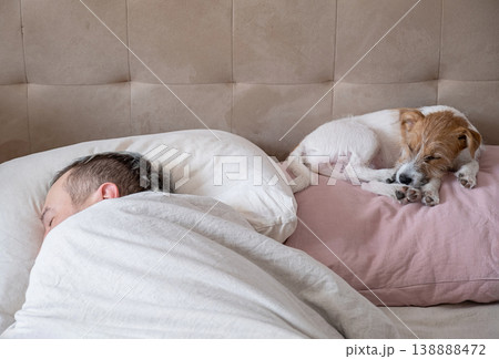 Man sleeping in bed with dog. Caucasian guy and puppy resting on pillows in bedroom. Man sleeping in bed with dog. Caucasian guy and puppy resting on pillows in bedroom. 138888472