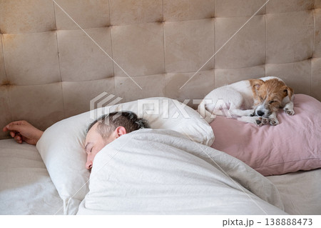 Man sleeping on bed with small dog curled up on pillow nearby. Cozy morning rest at home. Man sleeping on bed with small dog curled up on pillow nearby. Cozy morning rest at home. 138888473