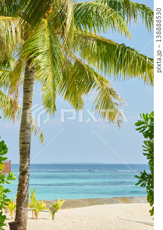 Classic Maldives island landscape on a sunny day, coastal luxury resort buildings, azure water, white sand, palm trees on the shore 138888530
