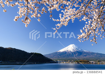 河口湖畔に咲く満開の桜と富士山 河口湖畔に咲く満開の桜と富士山 138888541