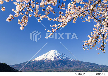 河口湖畔に咲く満開の桜と富士山 河口湖畔に咲く満開の桜と富士山 138888544