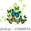 Butterfly. Vector illustration design 138888554