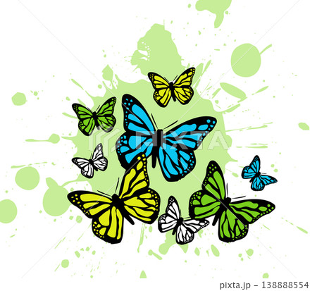 Butterfly. Vector illustration design 138888554