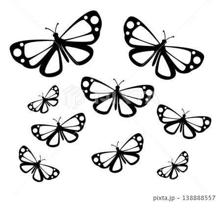 Butterfly. Vector illustration design 138888557