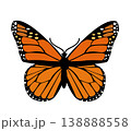 Butterfly. Vector illustration design 138888558