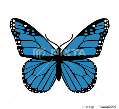 Butterfly. Vector illustration design 138888559