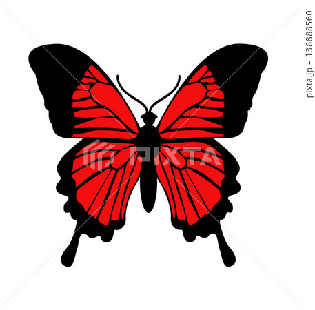 Butterfly. Vector illustration design Butterfly. Vector illustration design 138888560