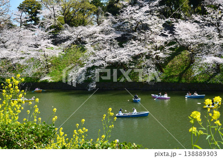 皇居　千鳥ヶ淵の桜 138889303