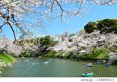 皇居 千鳥ヶ淵の桜 皇居 千鳥ヶ淵の桜 138889313