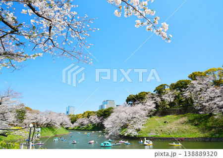 皇居 千鳥ヶ淵の桜 皇居 千鳥ヶ淵の桜 138889320
