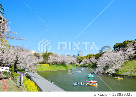 皇居 千鳥ヶ淵の桜 皇居 千鳥ヶ淵の桜 138889323