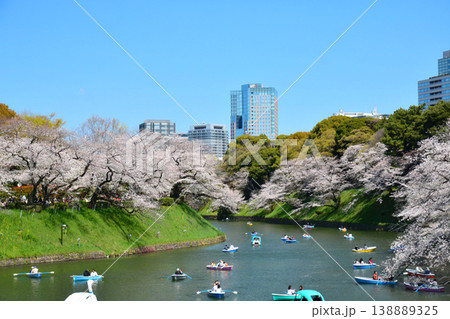 皇居 千鳥ヶ淵の桜 皇居 千鳥ヶ淵の桜 138889325