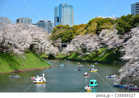 皇居　千鳥ヶ淵の桜 138889327