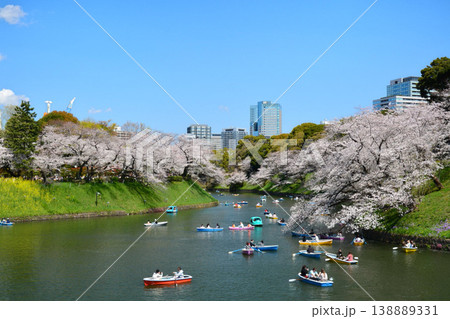 皇居 千鳥ヶ淵の桜 皇居 千鳥ヶ淵の桜 138889331