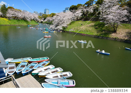皇居 千鳥ヶ淵の桜 皇居 千鳥ヶ淵の桜 138889334