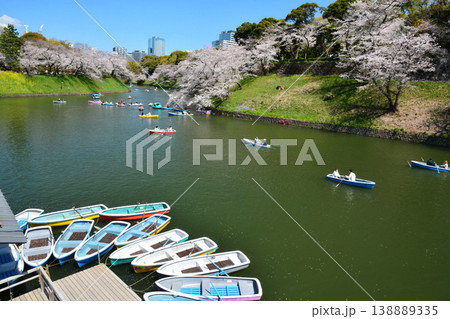 皇居 千鳥ヶ淵の桜 皇居 千鳥ヶ淵の桜 138889335