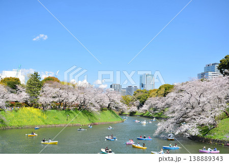 皇居　千鳥ヶ淵の桜 138889343
