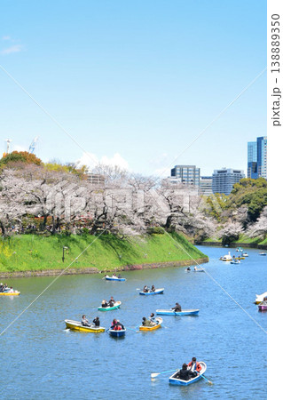 皇居 千鳥ヶ淵の桜 皇居 千鳥ヶ淵の桜 138889350