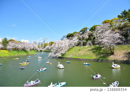 皇居 千鳥ヶ淵の桜 皇居 千鳥ヶ淵の桜 138889354