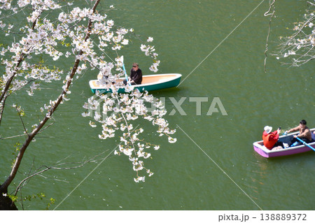 皇居 千鳥ヶ淵の桜 皇居 千鳥ヶ淵の桜 138889372