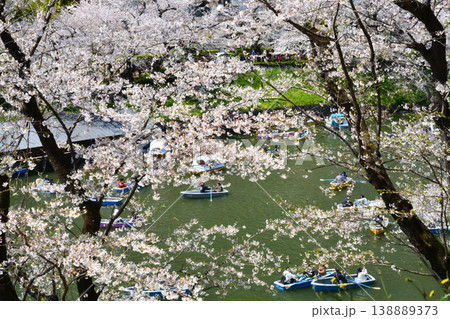 皇居 千鳥ヶ淵の桜 皇居 千鳥ヶ淵の桜 138889373