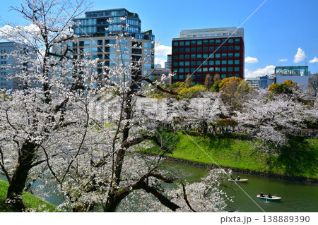 皇居 千鳥ヶ淵の桜 皇居 千鳥ヶ淵の桜 138889390
