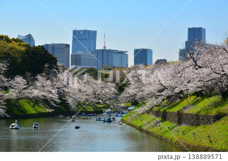 青空に咲く満開の桜と高層ビル 青空に咲く満開の桜と高層ビル 138889571