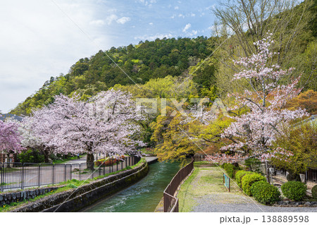春の琵琶湖疏水　京都市 138889598