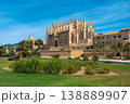 View of the Cathedral of Palma, Spain. 138889907