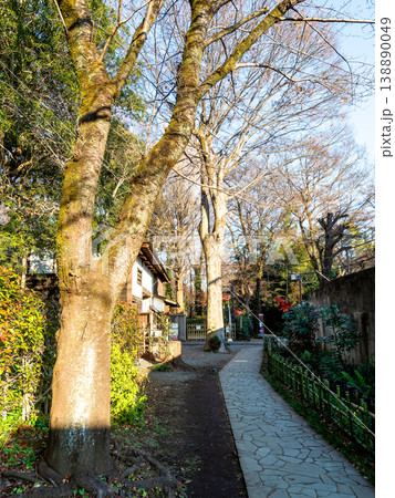 夕方の散策 国分寺お鷹の道の景色 夕方の散策 国分寺お鷹の道の景色 138890049