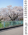春の桜が満開の時期を迎えた川沿いの風景 138890149