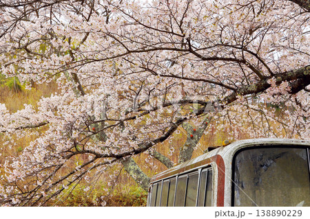 満開の枝垂れる桜と古びたバス｜春の郷愁風景・福島県田村市大門の桜 138890229
