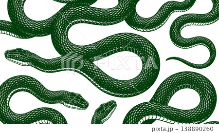 Green Snake Pattern Detailed Reptile Design Green Snake Pattern Detailed Reptile Design 138890260