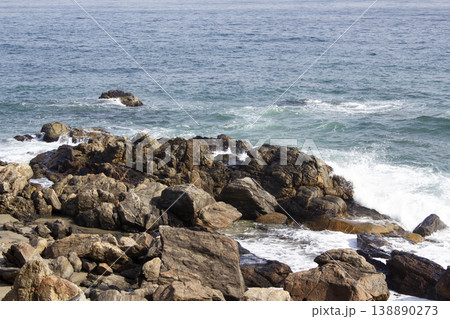 The coast is rocks and seawater. The coast is rocks and seawater. 138890273