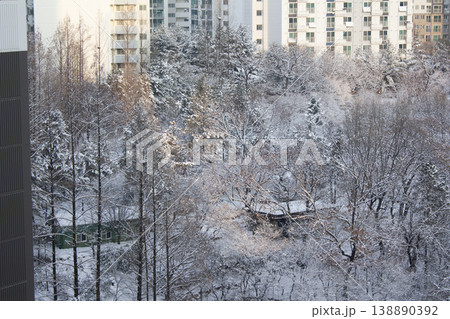 It is a snow covered winter park landscape. It is a snow covered winter park landscape. 138890392
