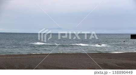 太平洋　海　水平線　浜 138890449