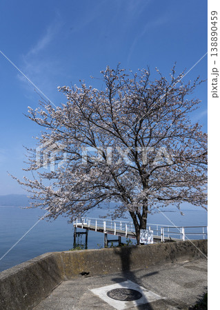 春の沖島、西湖岸の一本桜と桟橋 138890459