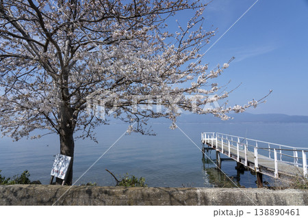 春の沖島、西湖岸の一本桜と桟橋 春の沖島、西湖岸の一本桜と桟橋 138890461