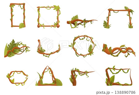 Jungle plant frames. Tropical leaves, liana, green branches, exotic plants corner and frame with wooden sticks. Design for banners, posters, sapid vector set 138890786