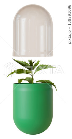 A green capsule holds a small plant growing inside. The capsule is open with a transparent lid placed above it. The scene has no background elements A green capsule holds a small plant growing inside. The capsule is open with a transparent lid placed above it. The scene has no background elements 138891096