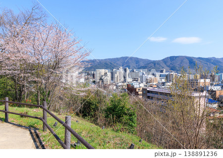 京都山科の春の桜と街並み (京都府京都市山科区) 京都山科の春の桜と街並み (京都府京都市山科区) 138891236