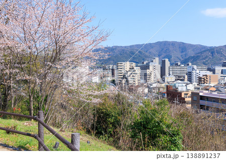 京都山科の春の桜と街並み (京都府京都市山科区) 京都山科の春の桜と街並み (京都府京都市山科区) 138891237