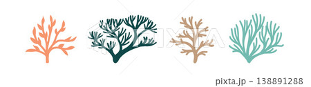 Coral template design silhouette vector. Coral template design silhouette vector. 138891288