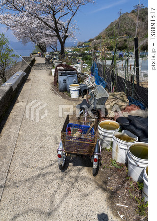 桜咲くころの沖島、西湖岸を通る生活道路と千円畑地帯 138891317