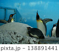 ペンギン十色 138891441