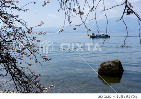 桜の咲く時期、沖島の西湖岸より琵琶湖を望む 桜の咲く時期、沖島の西湖岸より琵琶湖を望む 138891758