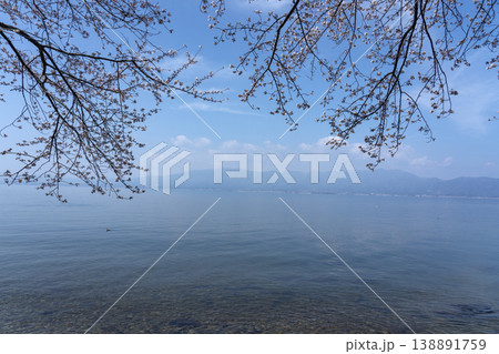 桜の咲く時期、沖島の西湖岸より琵琶湖を望む 138891759