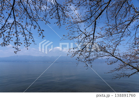 桜の咲く時期、沖島の西湖岸より琵琶湖を望む 138891760