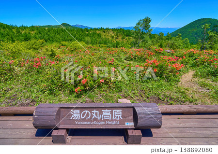新緑の群馬県嬬恋村(長野県東御市)の湯の丸高原つつじ平から北側の眺望(桟敷山,四阿山など) 138892080