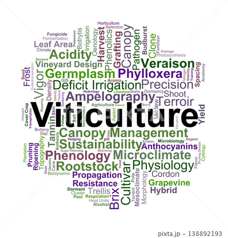 Viticulture Word Cloud. Visual summary of grape cultivation, vineyard ecology, and grapevine physiology focusing on terroir, canopy management, and precision agricultural practices. 138892193